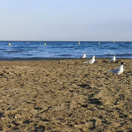 Maison - Halle 16 Heritage