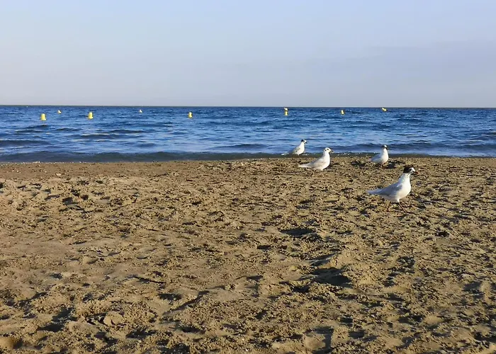 Maison - Halle 16 Heritage